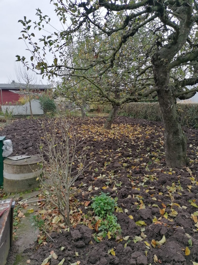 Freie Gärten | KALAND-ACKER e.V. Stralsund