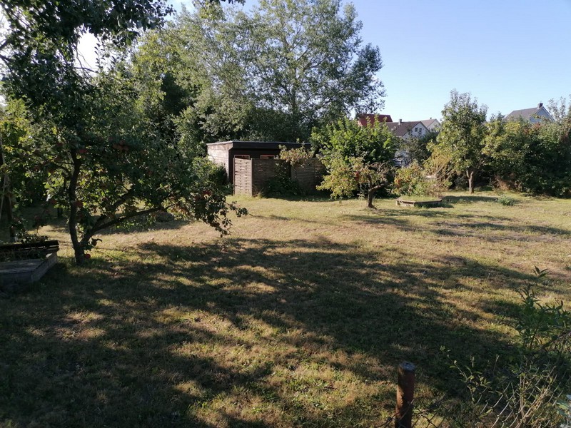 Garten 1
